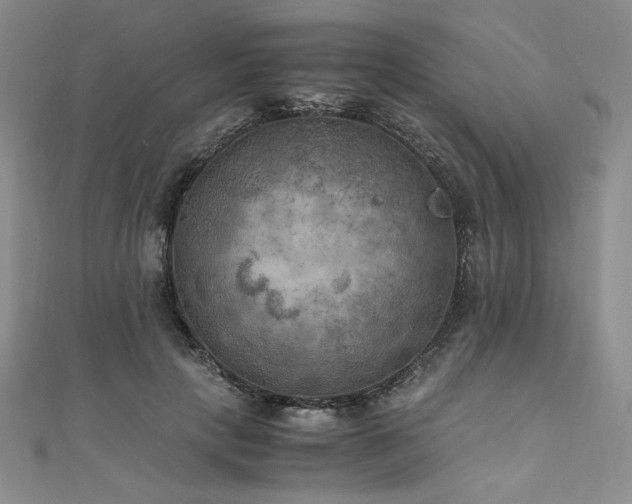 X0000111010649200906191613