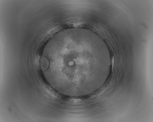 X0000111010650200906191613