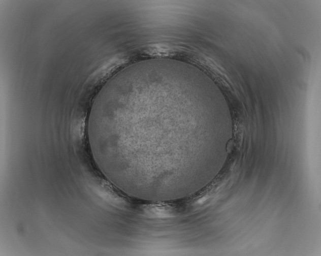X0000111010652200906191613