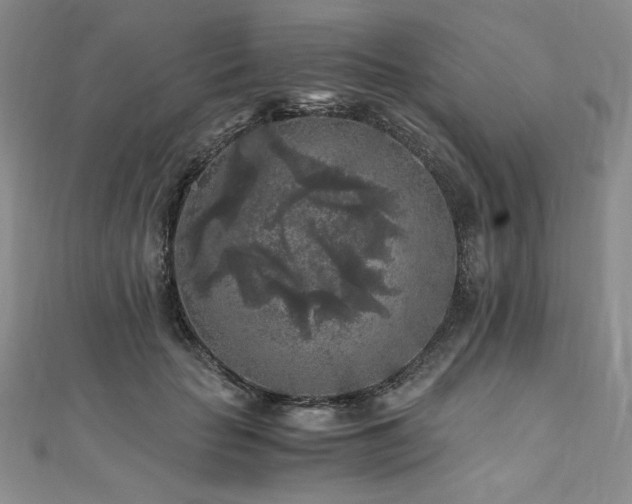 X0000111010653200906191613