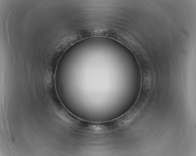 X0000111010654200906191613