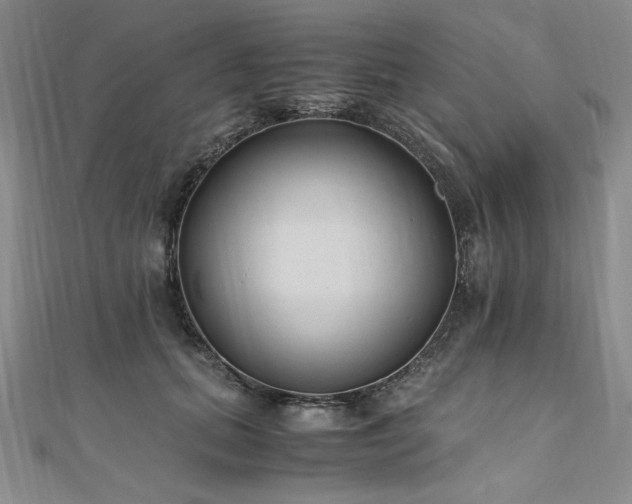 X0000111010655200906191613