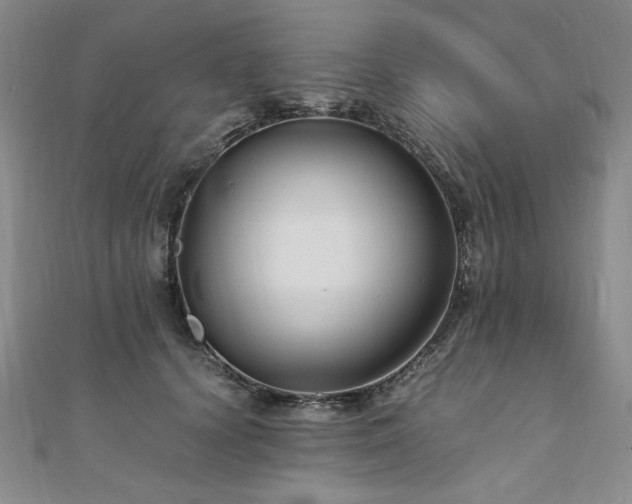 X0000111010656200906191613