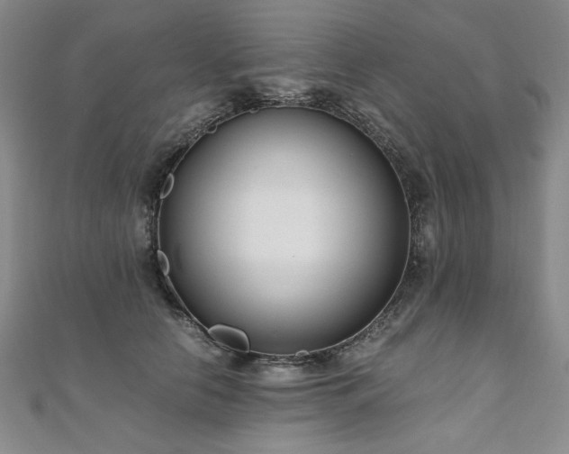 X0000111010658200906191613