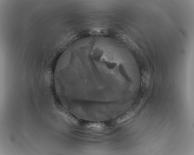 X0000111010659200906191613