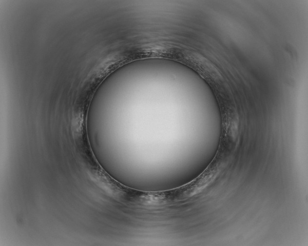 X0000111010660200906191613