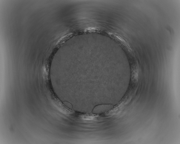 X0000111010661200906191613