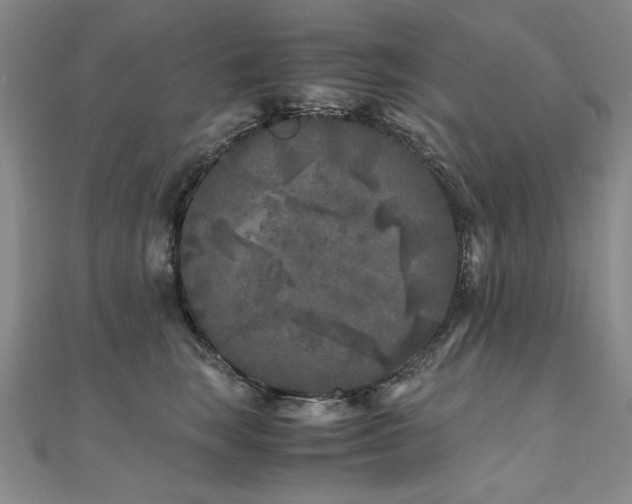 X0000111010663200906191613