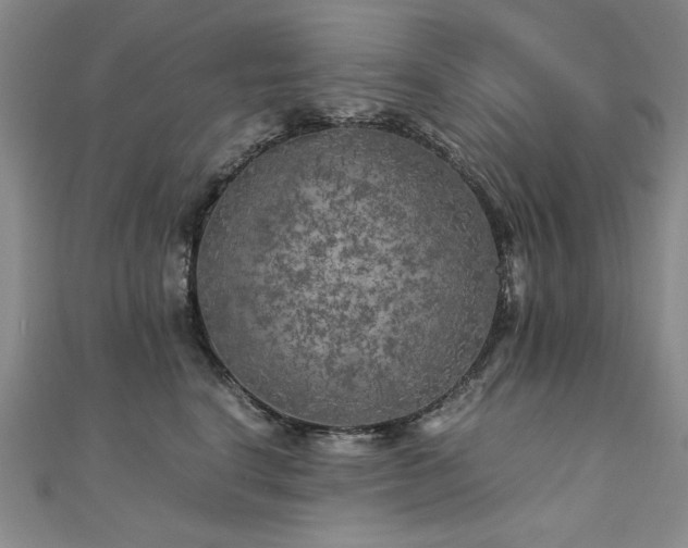 X0000111010664200906191613