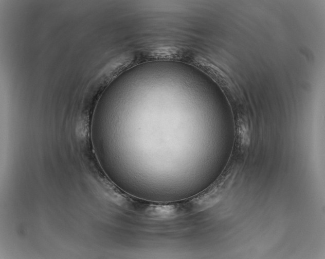 X0000111010665200906191613