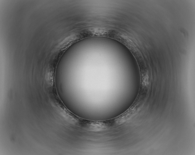 X0000111010666200906191613
