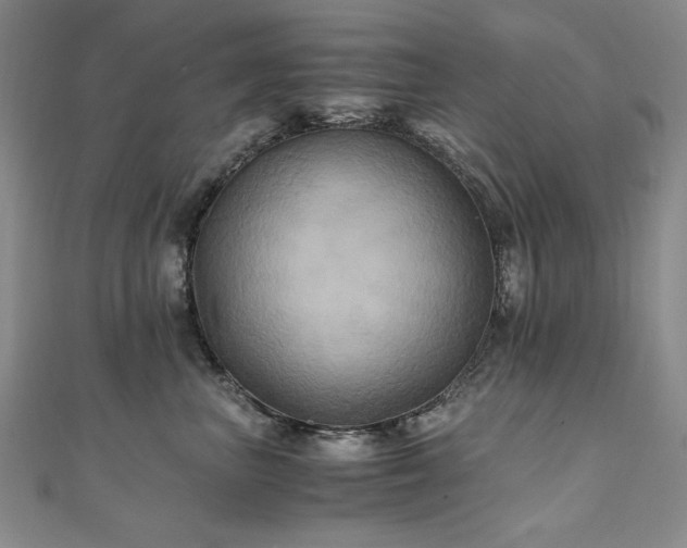 X0000111010667200906191613