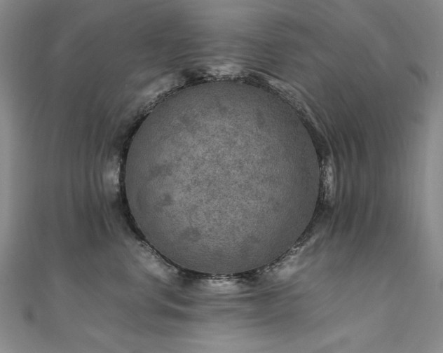 X0000111010668200906191613