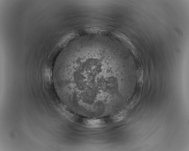 X0000111010669200906191613
