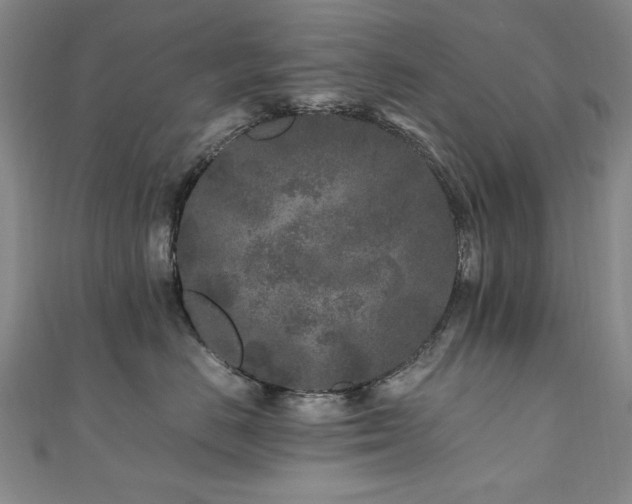 X0000111010670200906191613