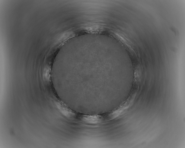 X0000111010671200906191613