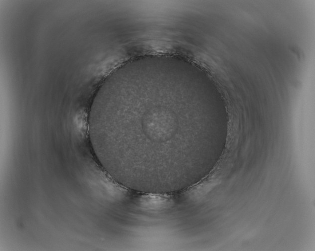 X0000111010672200906191613