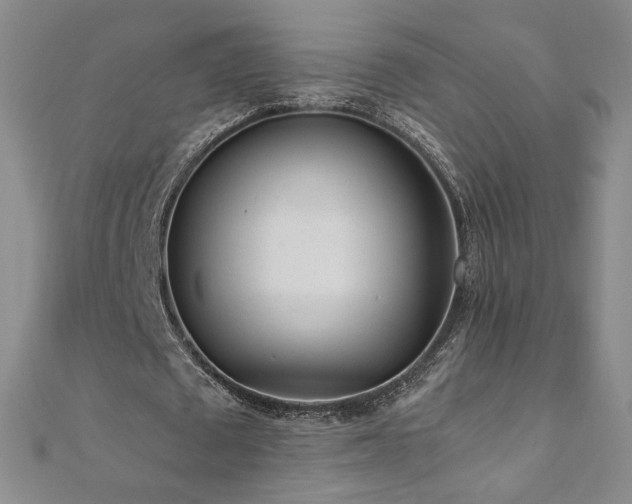 X0000111010673200906191612