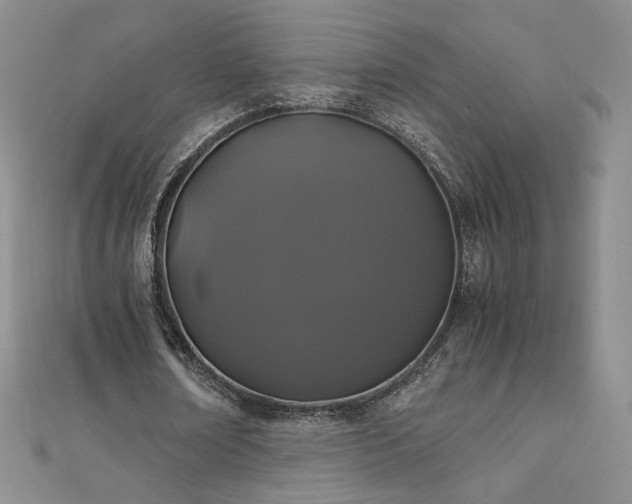 X0000111010674200906191612