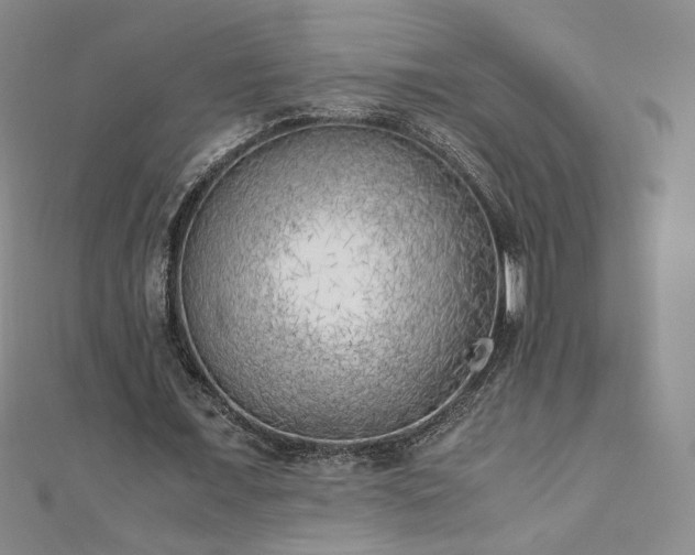 X0000111010675200906191612