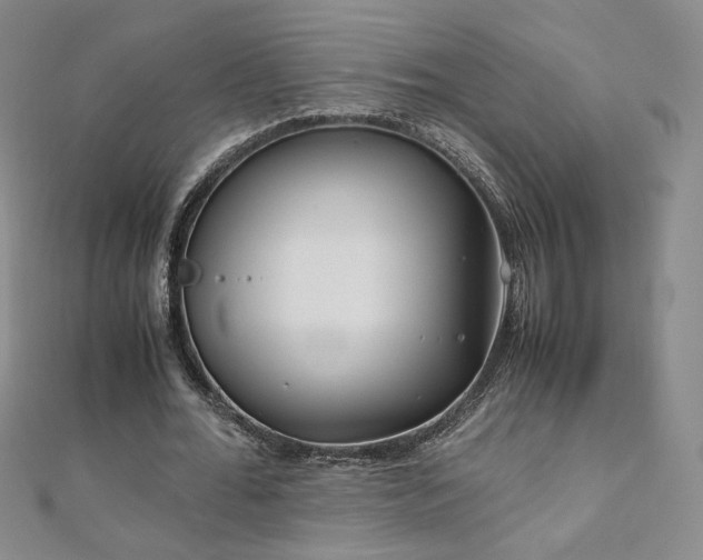 X0000111010676200906191612