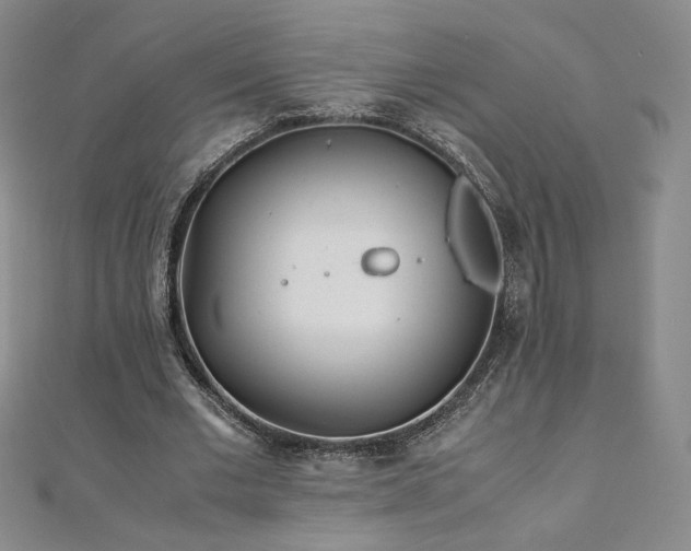 X0000111010677200906191612