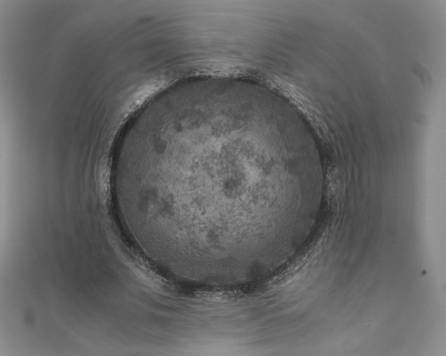 X0000111010679200906191612