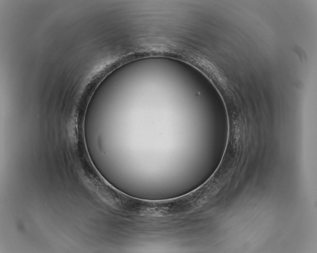 X0000111010680200906191612