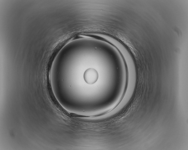 X0000111010681200906191612