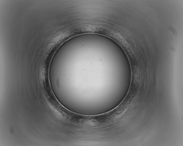 X0000111010683200906191612