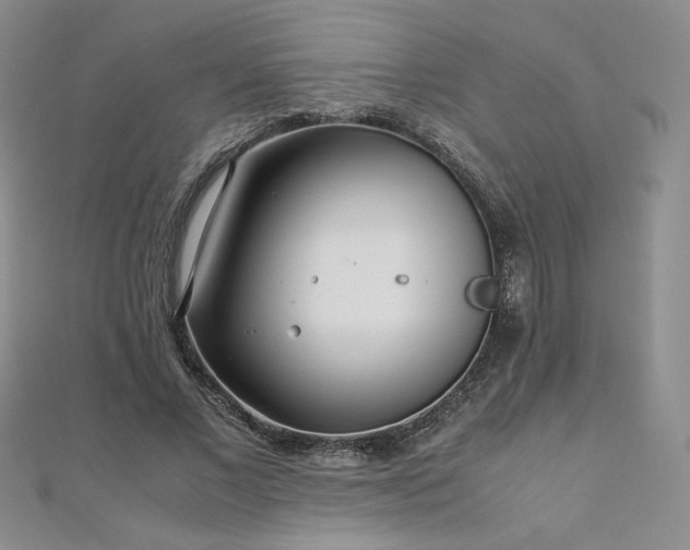 X0000111010685200906191612