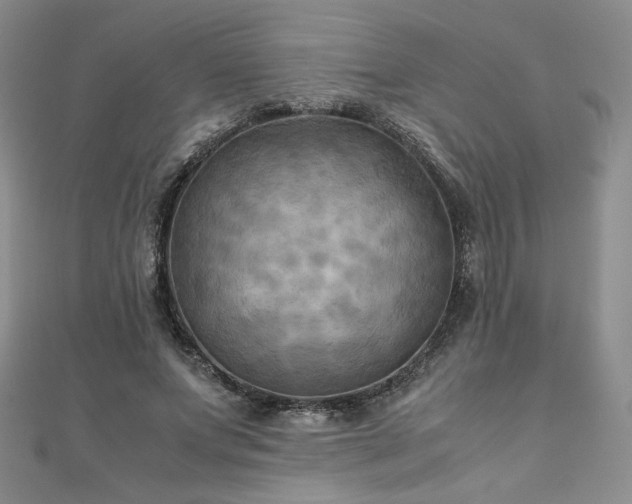 X0000111010687200906191612