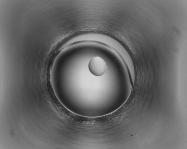 X0000111010688200906191612