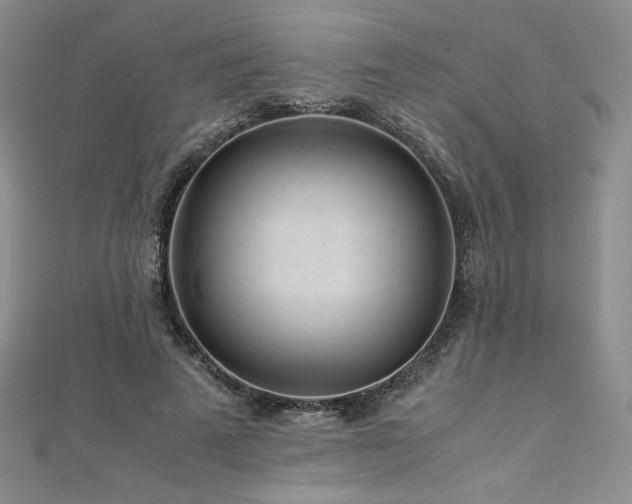 X0000111010689200906191612