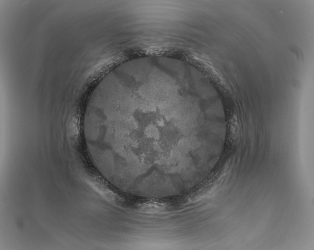 X0000111010691200906191612