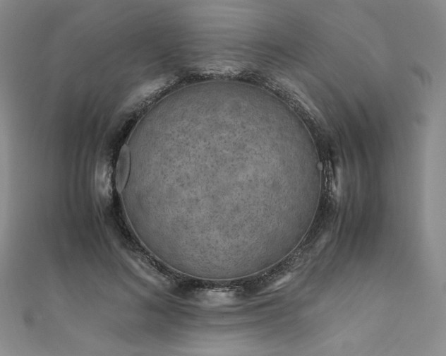 X0000111010692200906191612