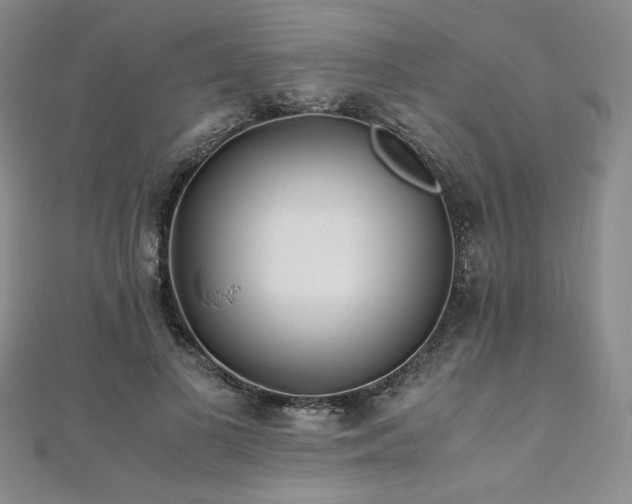 X0000111010693200906191612