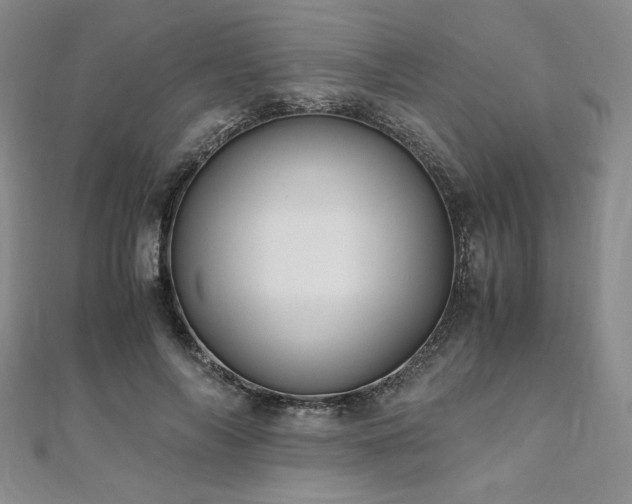 X0000111010694200906191612