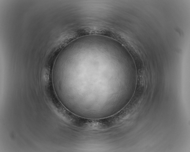 X0000111010695200906191612