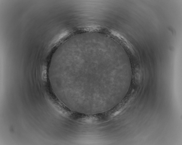 X0000111010696200906191612