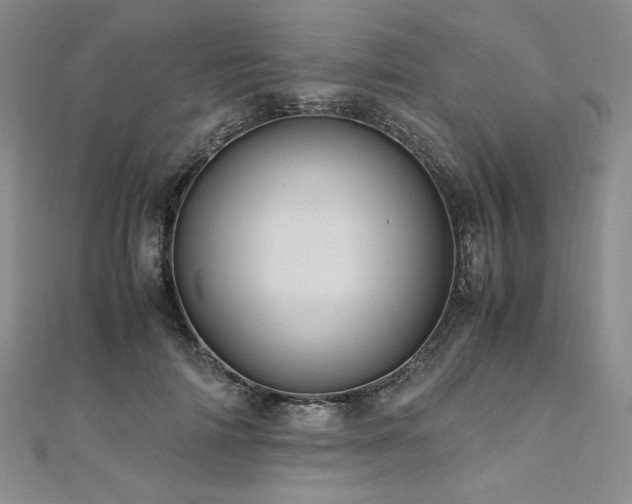 X0000111010698200906191612