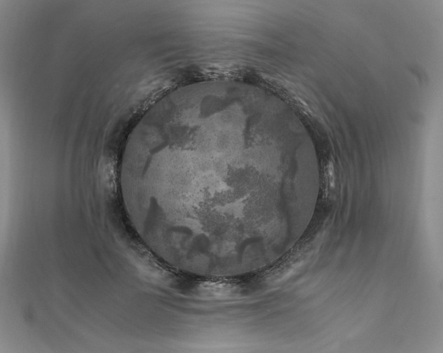 X0000111010699200906191612