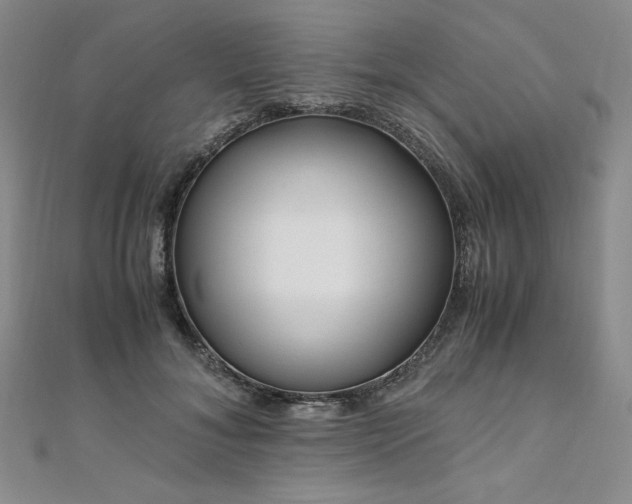 X0000111010700200906191612