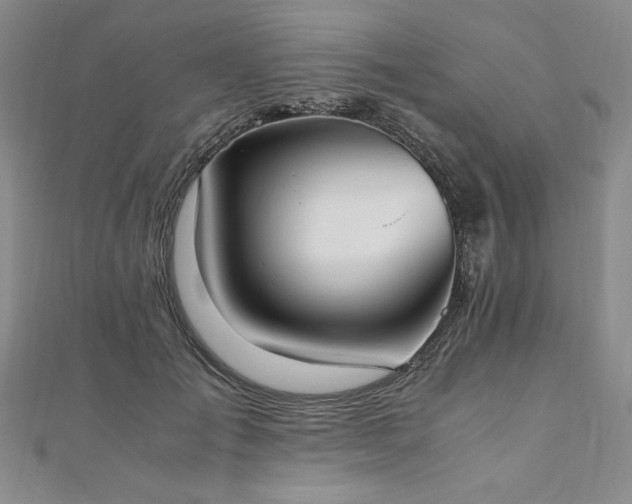 X0000111010701200906191612