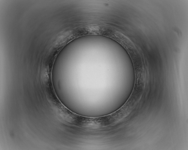 X0000111010702200906191612