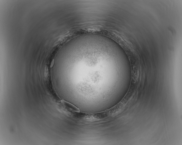 X0000111010704200906191612