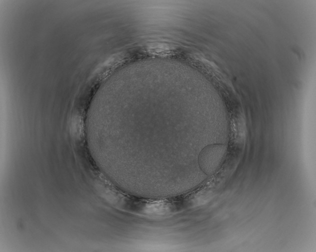 X0000111010705200906191612