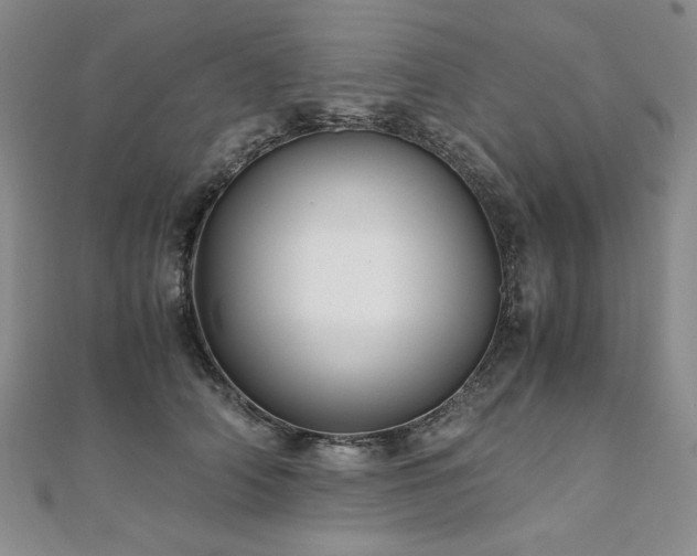 X0000111010706200906191612