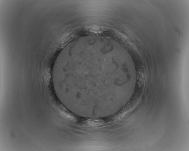 X0000111010707200906191612