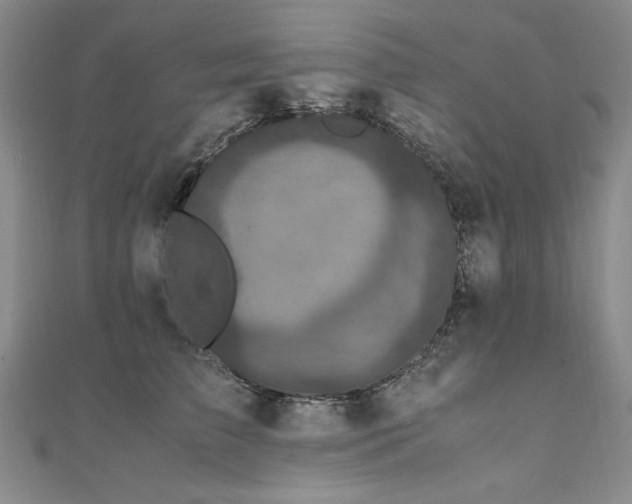 X0000111010709200906191612